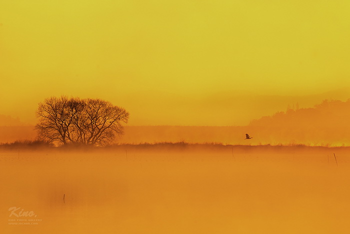 [키노]창녕, 우포늪으로 가는 길.jpg